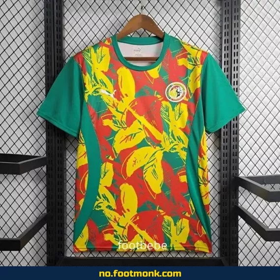 Senegal 2024-2025 spesialdesign fotballdrakt – offisiell drakt for voksne og barn